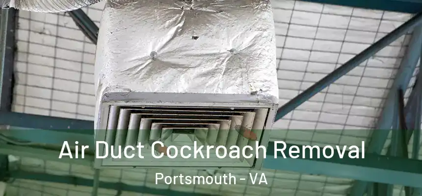 Air Duct Cockroach Removal Portsmouth - VA