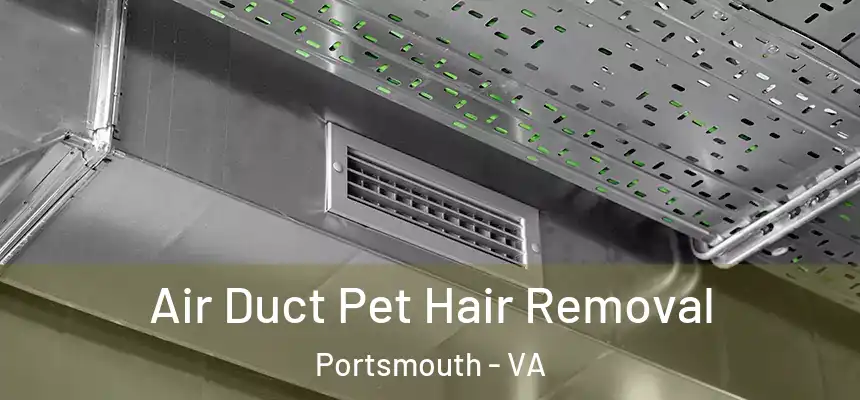 Air Duct Pet Hair Removal Portsmouth - VA