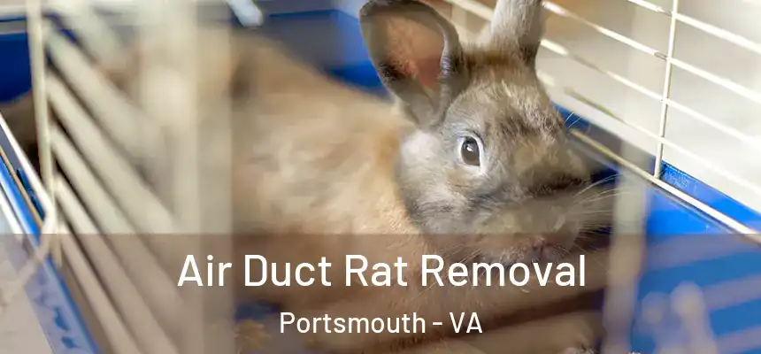 Air Duct Rat Removal Portsmouth - VA