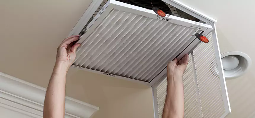 Our Insect Removal from Air Ducts Services in Portsmouth, VA