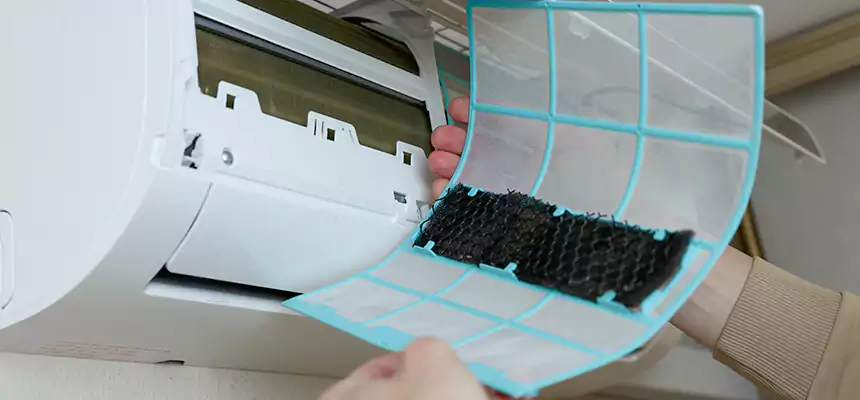 Gentle Ductwork Odor-Control Pet Dander Duct Cleaning in Portsmouth, VA