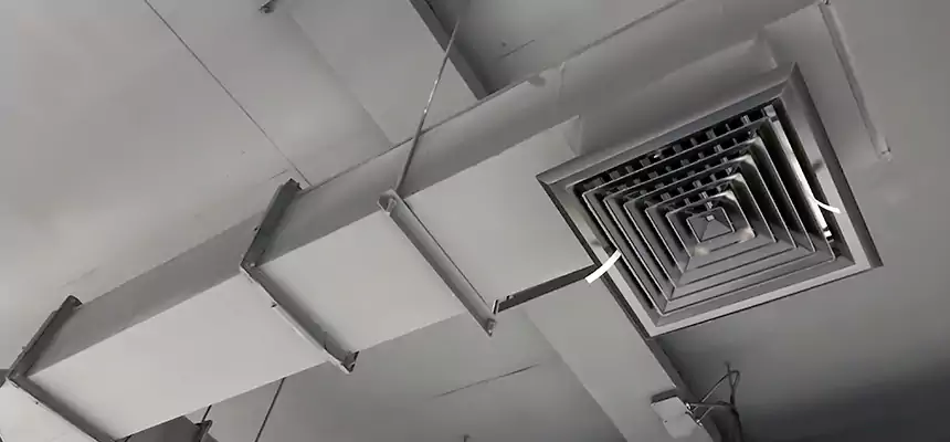 Our Rodent Droppings In Vents Services in Portsmouth, VA