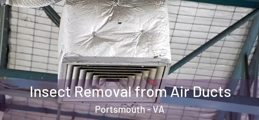 Insect Removal from Air Ducts Portsmouth - VA