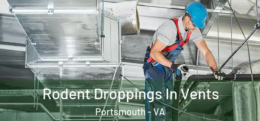 Rodent Droppings In Vents Portsmouth - VA