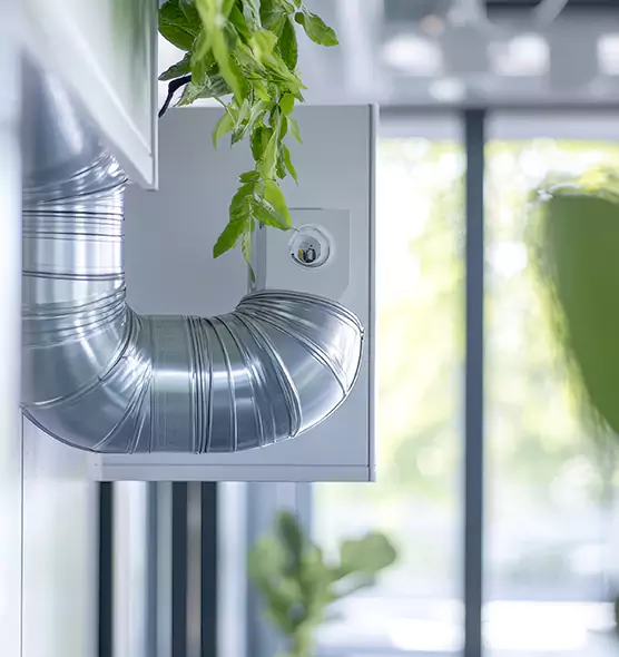 Professional Eco-Safe Dryer Vent Cleaning in Portsmouth, VA