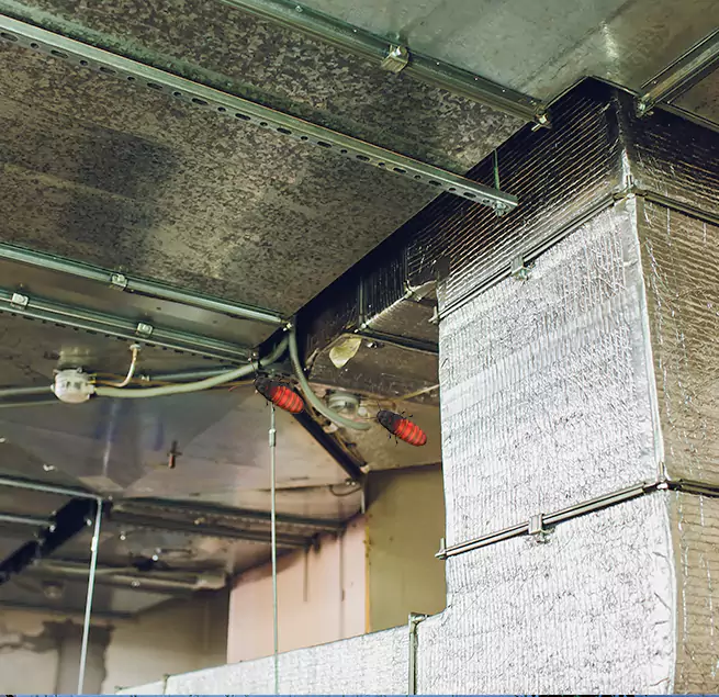 Why Homeowners & Businesses Trust Us in Portsmouth, VA?