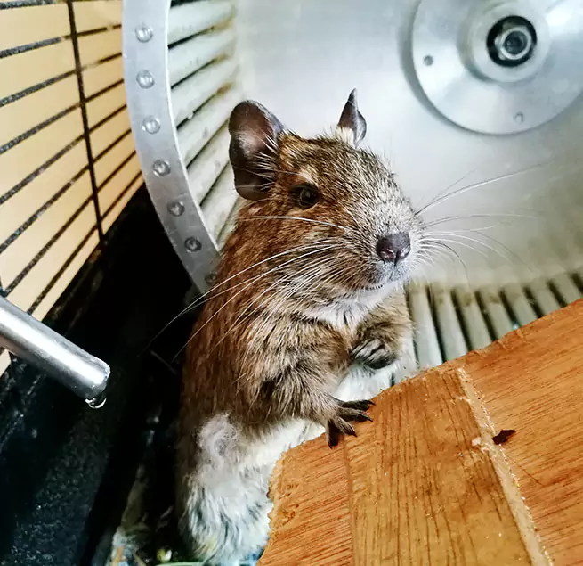 Why Homeowners & Businesses Trust Us Portsmouth, VA