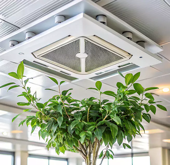 Why Homeowners & Businesses Trust Us in Portsmouth, VA?