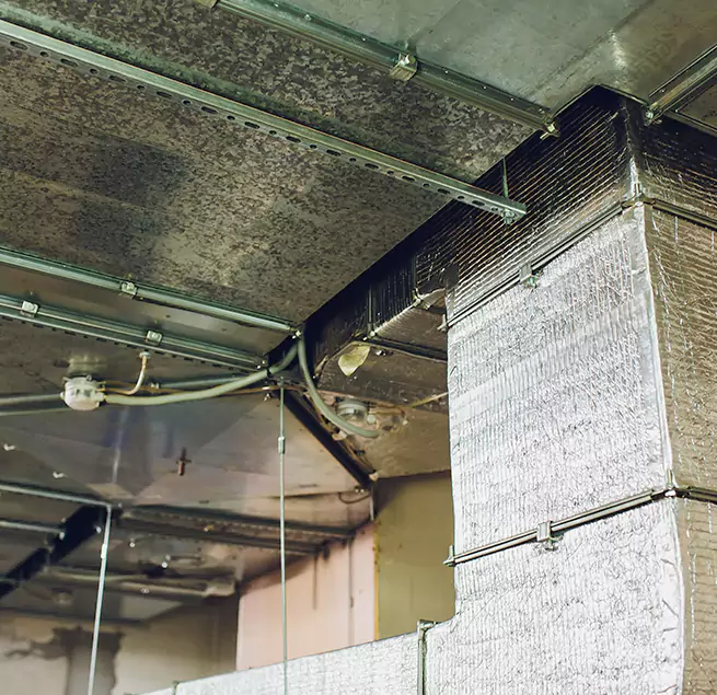 Why Homeowners & Businesses Trust Us in Portsmouth, VA?